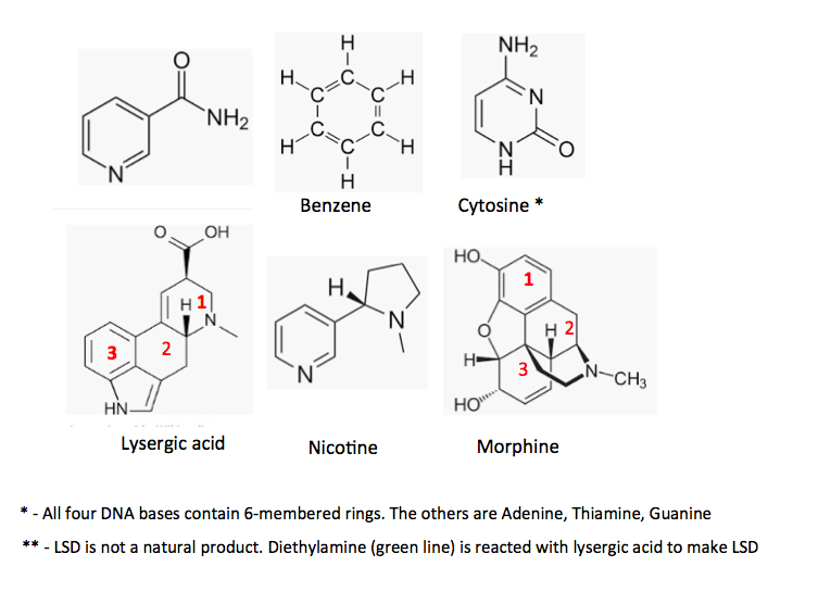 CBD and THC: The Only Difference is One Chemical Bond | American